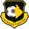 Escudo 11